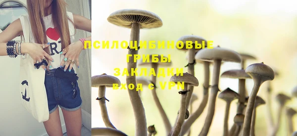 a pvp Ростов